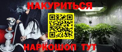 шишки Кимры