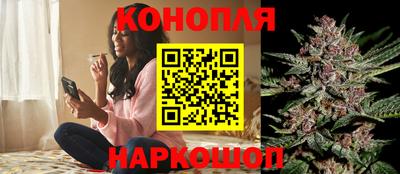 меф Кингисепп