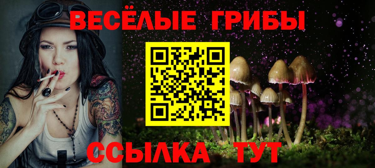 купить  цена  Вход с VPN  Галлюциногенные грибы мицелий  Кимры  Псилоцибиновые грибы Magic Shrooms 