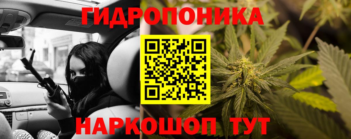 Кимры  Шишки марихуана конопля  Вход с VPN  Шишки марихуана план 